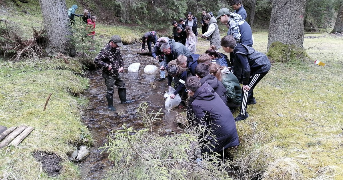 Pisztrángot telepítettek a kis horgászok