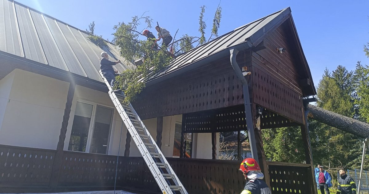 Fa dőlt egy lakóházra