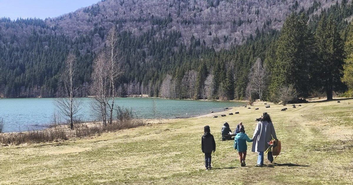 Honismereti kalandok, rovarhotelek és „repülő fészkek”