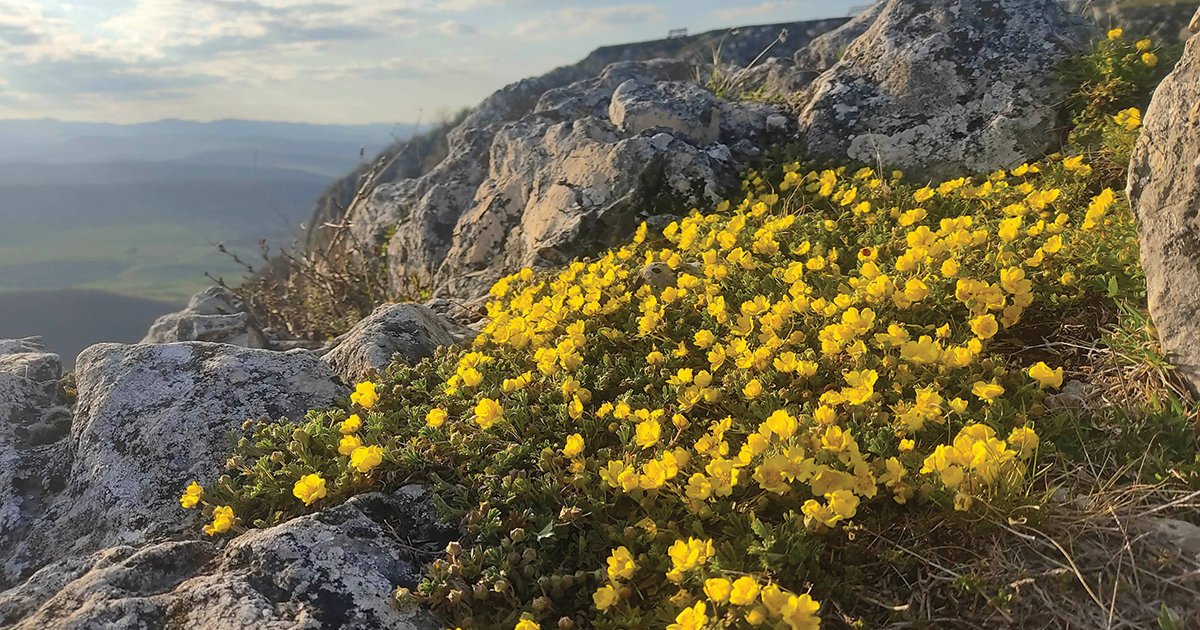 Virágvadászok és sziklamászók paradicsoma