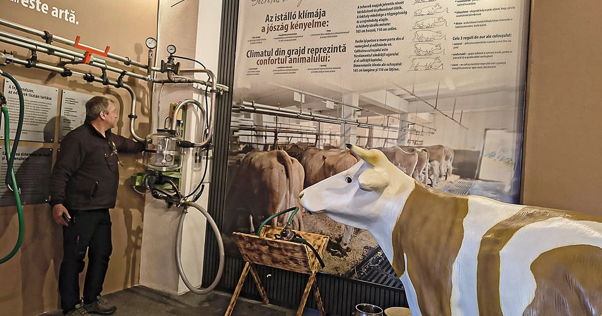 Interaktív utazás a fűtől a sajtig