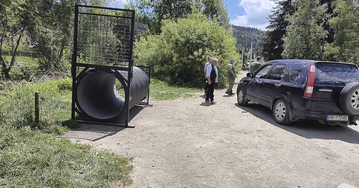 Befognák a négyeshez visszajáró medvét