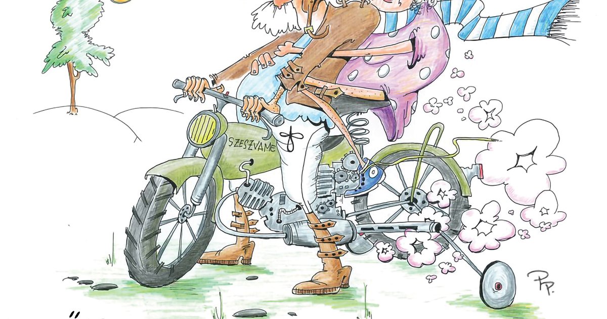 Para Pista