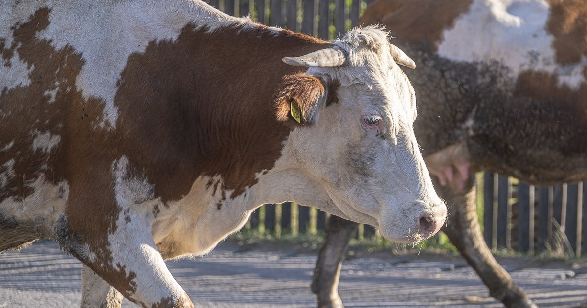 Megnőtt a megfigyelési övezet nagysága
