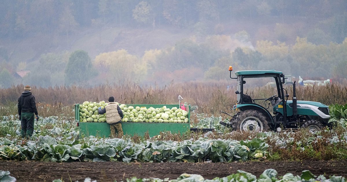 Milyen jövő vár a székely gazdákra?