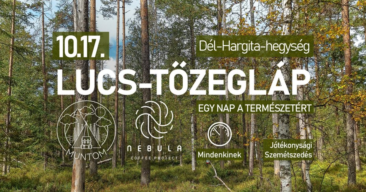 Szemétszedés a Lucs-tőzegláznál