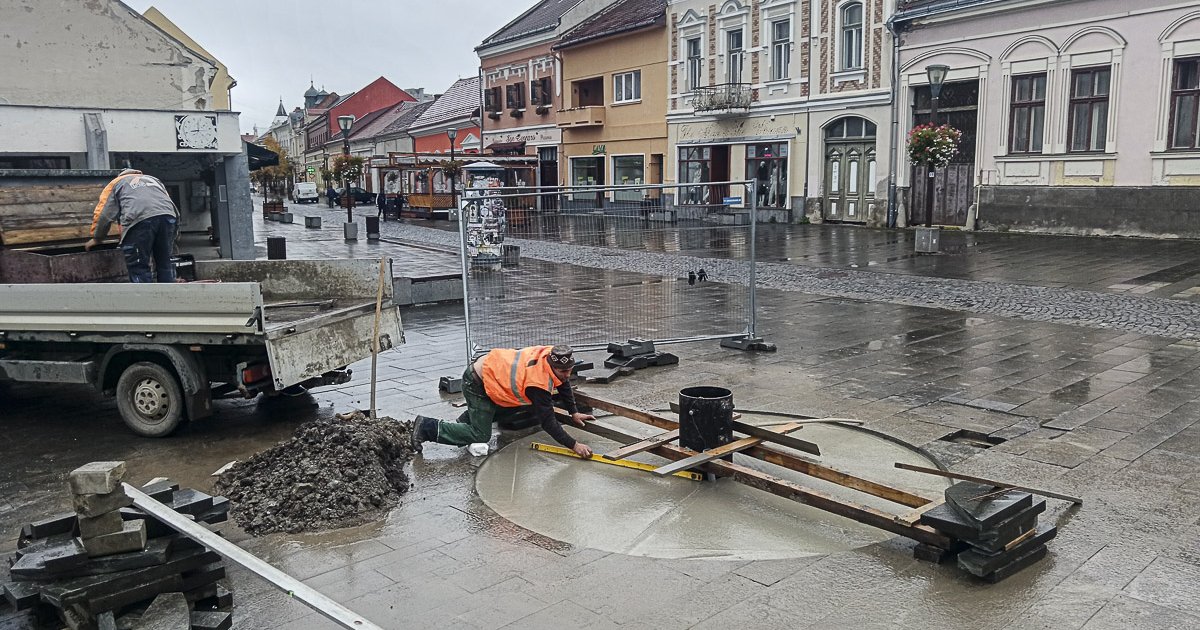 Karácsonyfa a virágágyásban