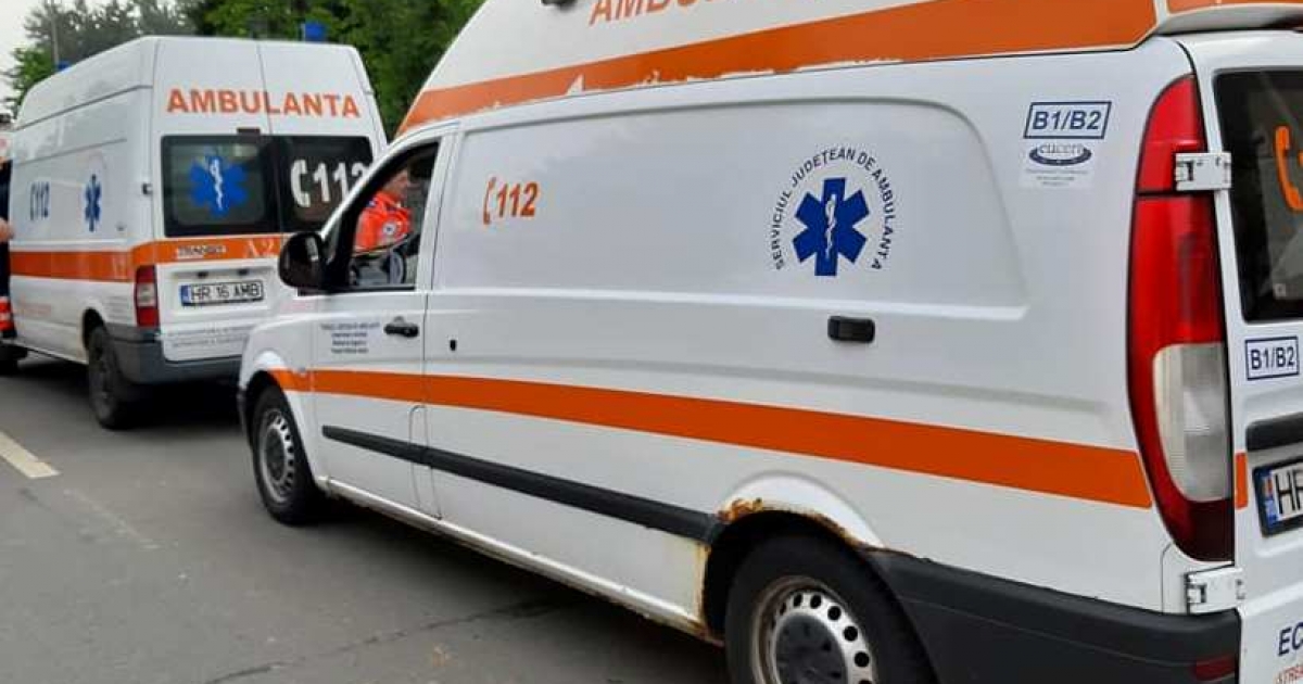 Megelőzték a nagyobb bajt, medvék jelenlétére figyelmeztettek