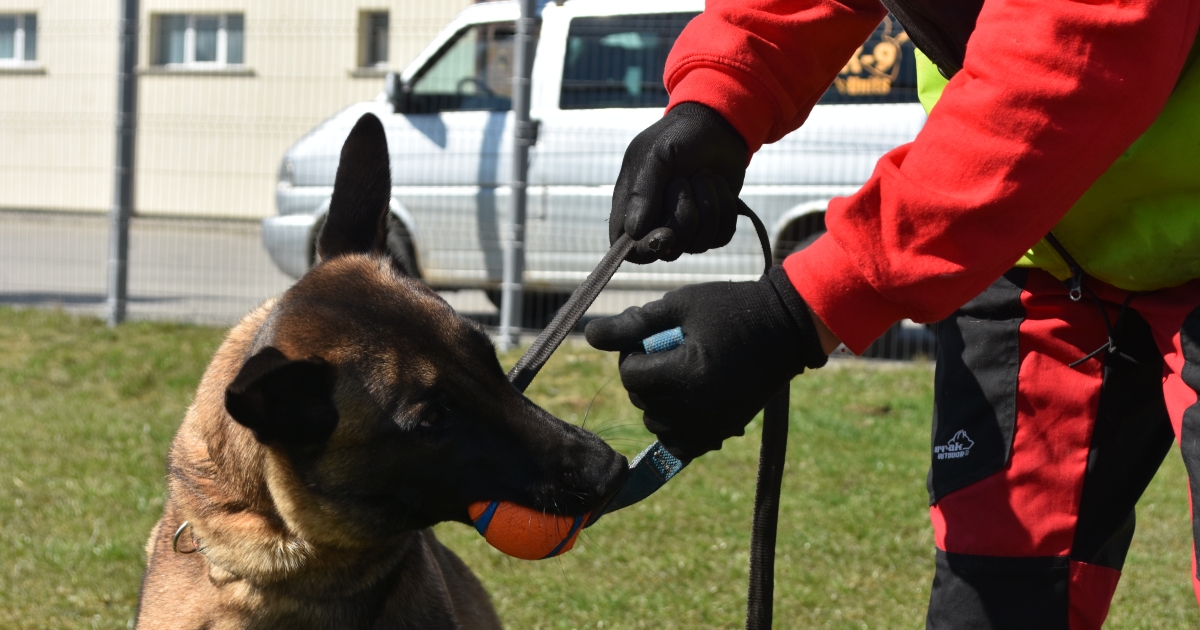 Sport, hobbi  és munka egyben – 2. rész