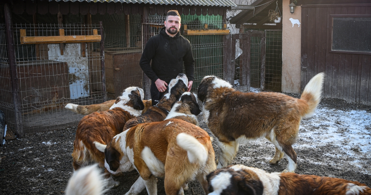 Bernáthegyi – 1. rész