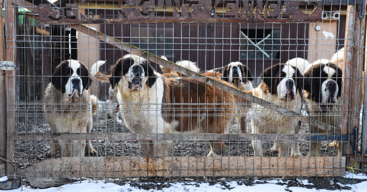 Bernáthegyi – 2. rész