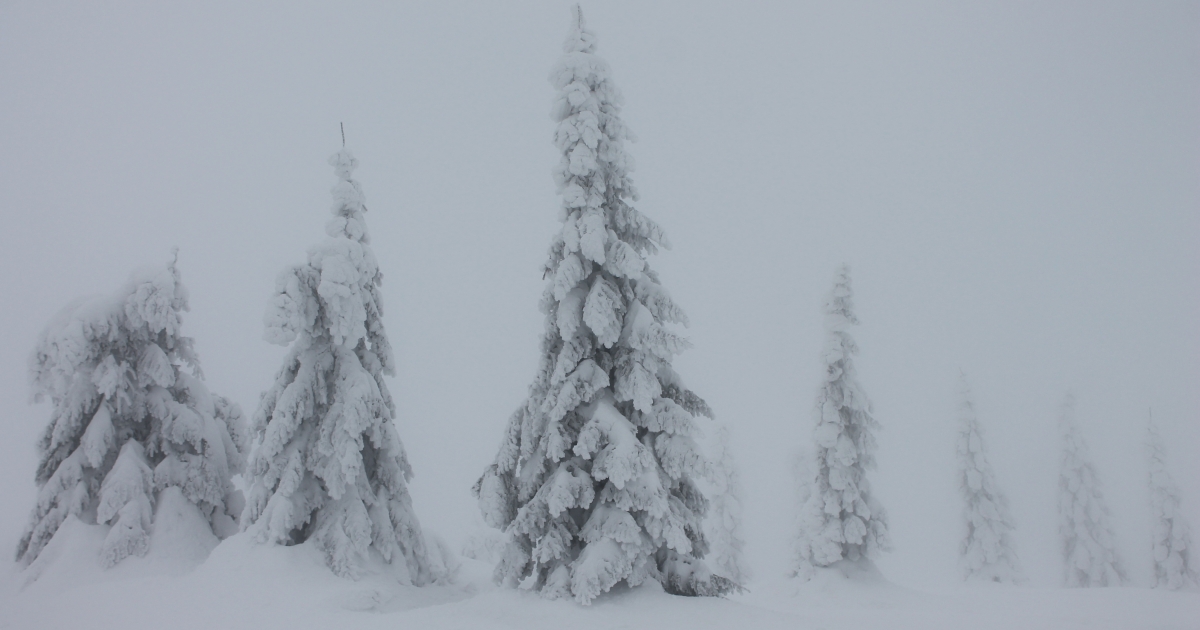 Hóviharra és erős szélre figyelmeztetnek
