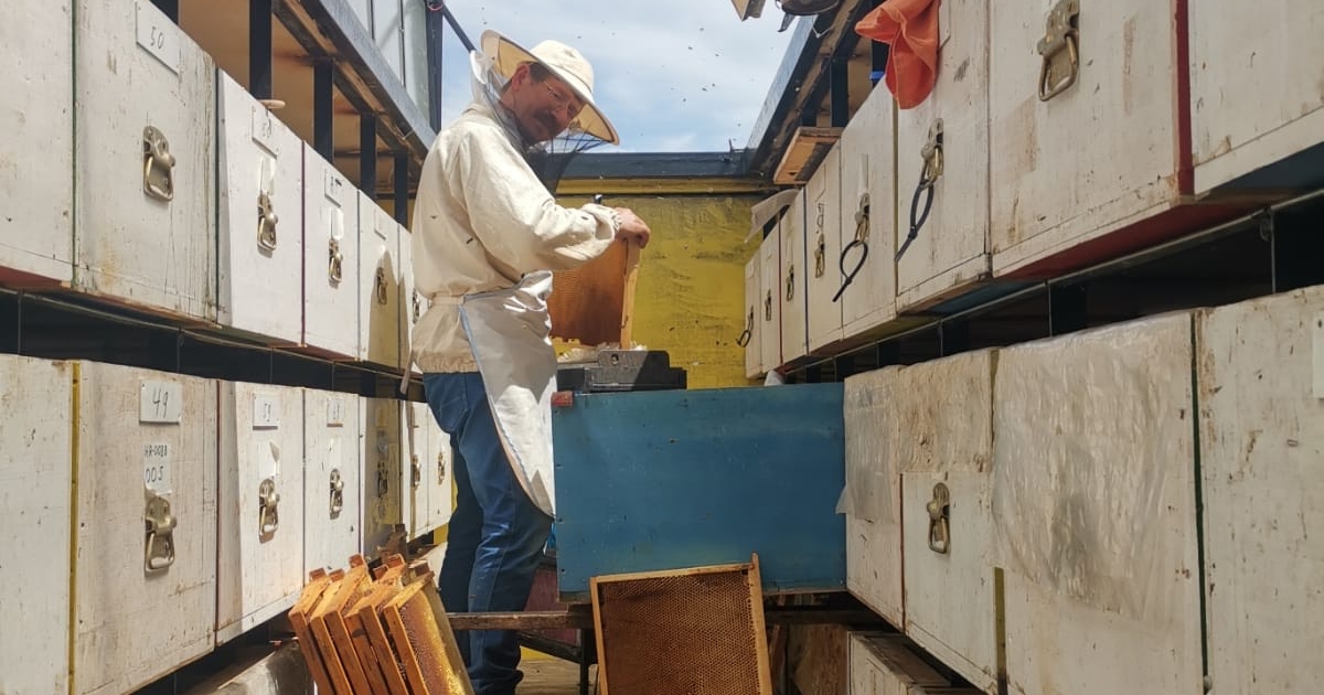 Nem panaszkodtak jelentős téli állományveszteségre