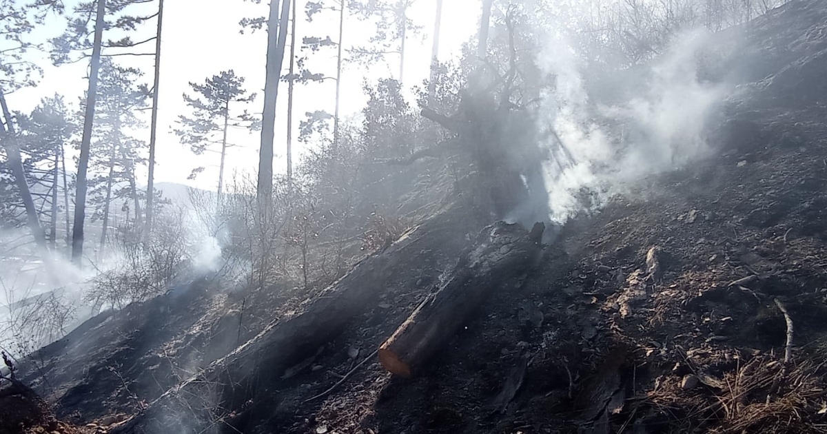 Több mint négyszáz juh és bárány pusztult el egy Fehér megyei tűzben