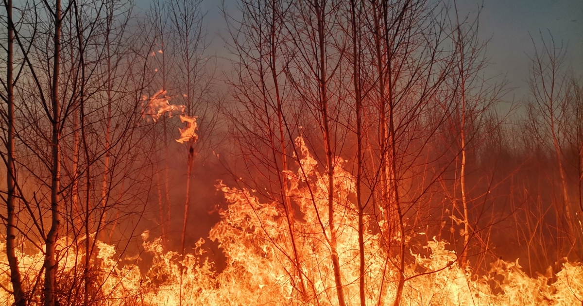 Gyergyóalfalu: kigyulladt az aljnövényzet