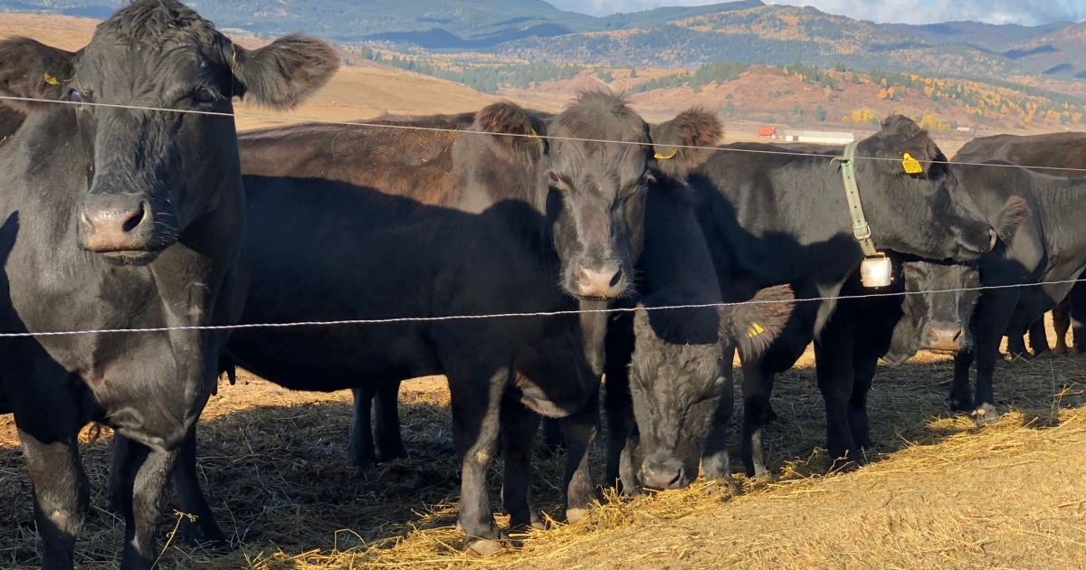 Egy hét áll még a gazdák rendelkezésére