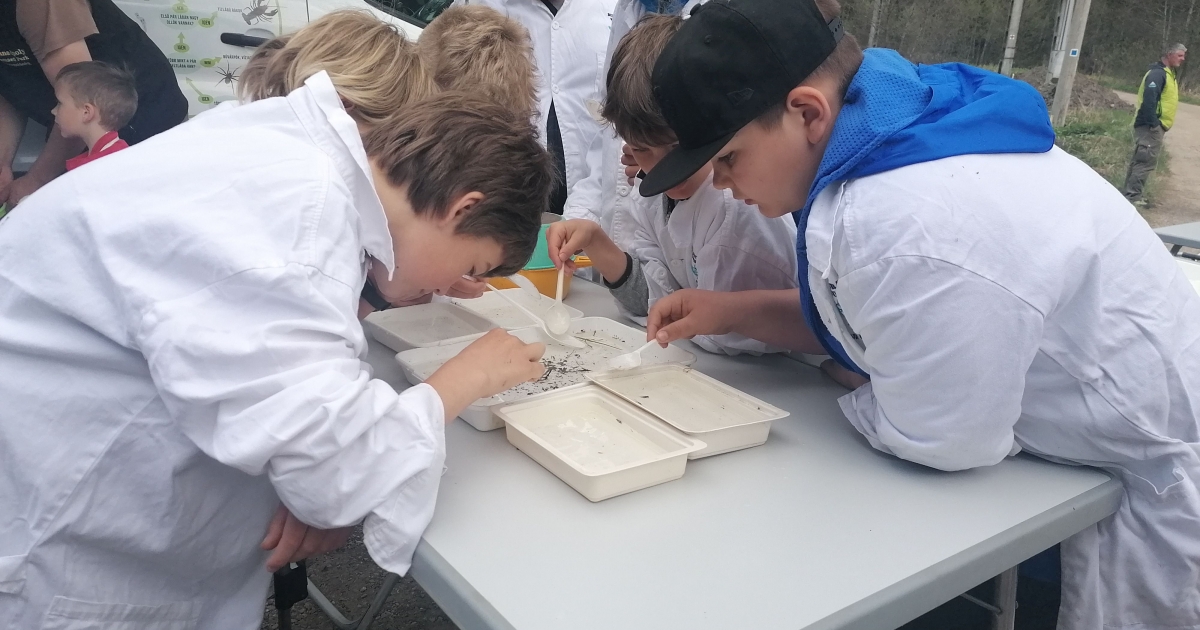 Vízibuszos foglalkozás Gyilkostón