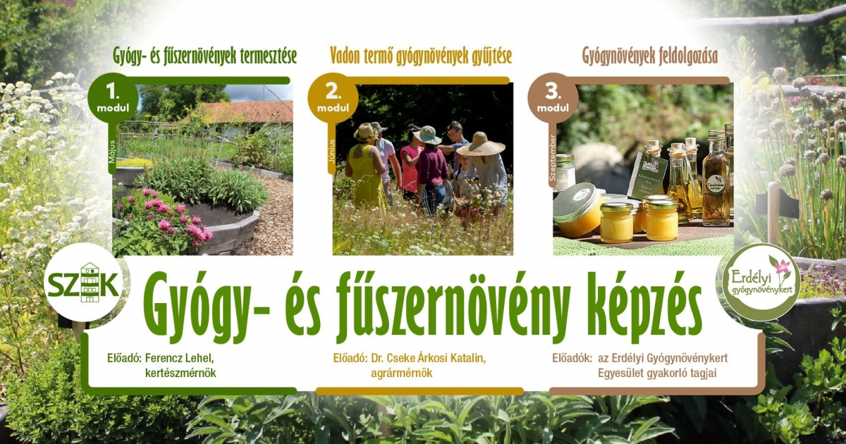 Gyógy- és fűszernövényképzés