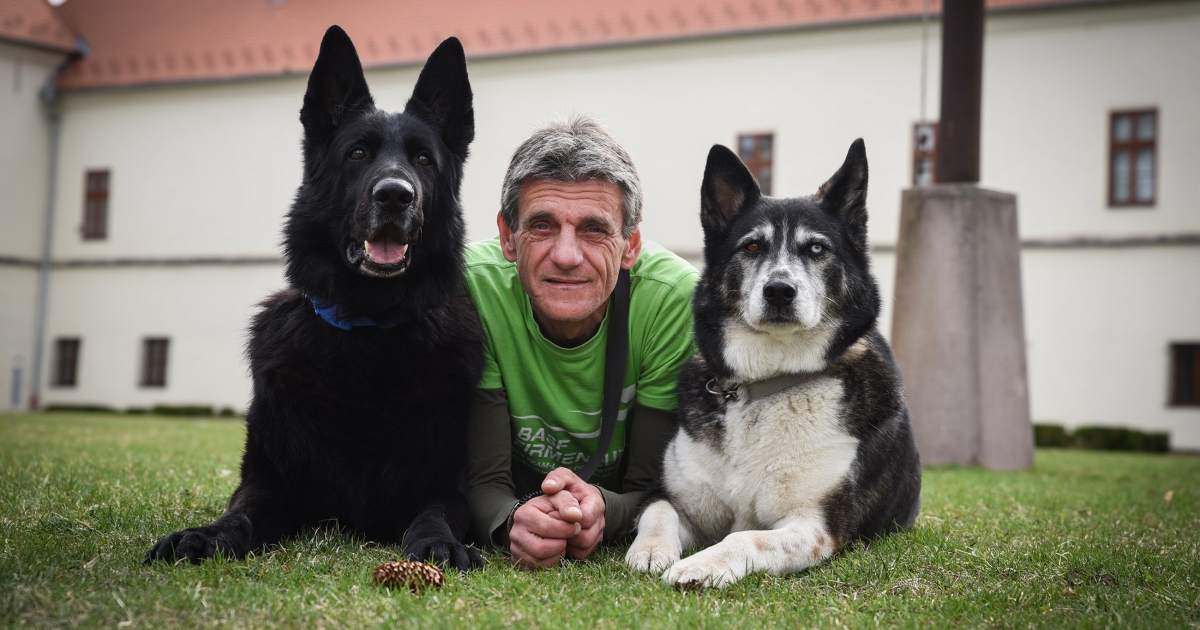 A filmben szereplő ebektől a mentőkutyákig