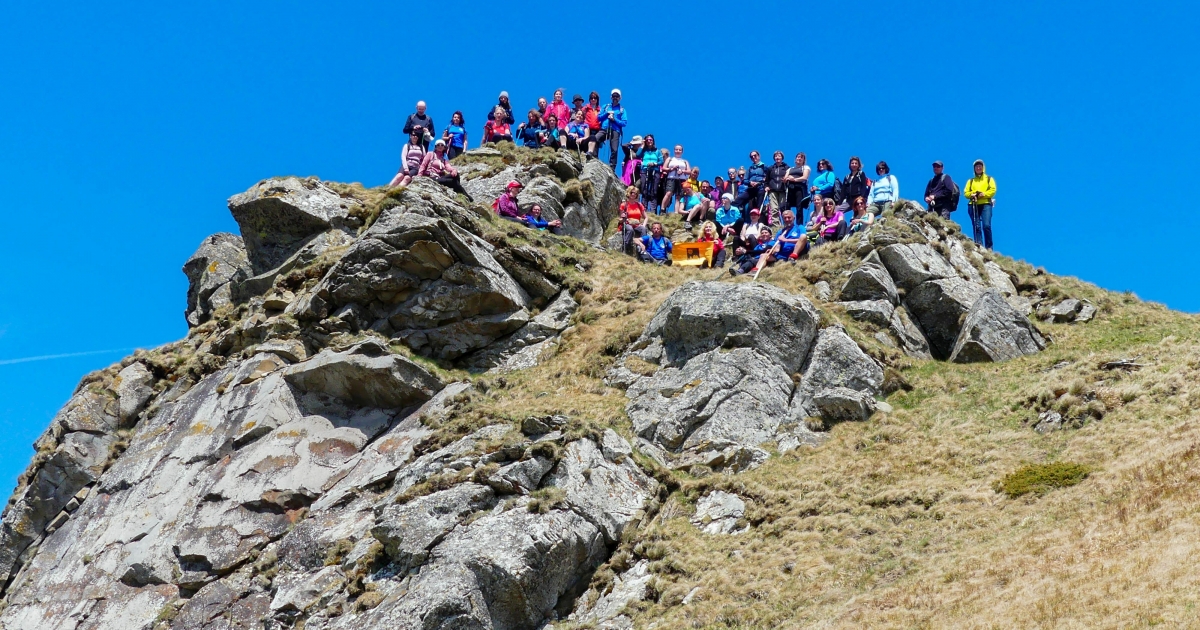 Gyönyörű gyephavas