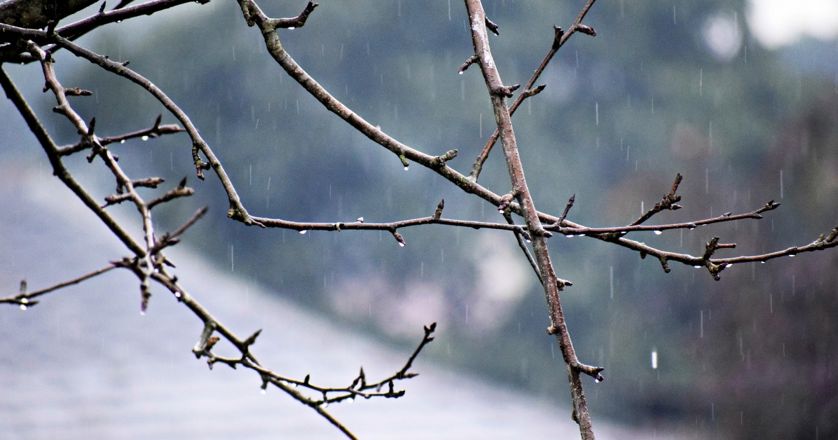 Hideg, csapadékos időre számíthatunk március első két hetében