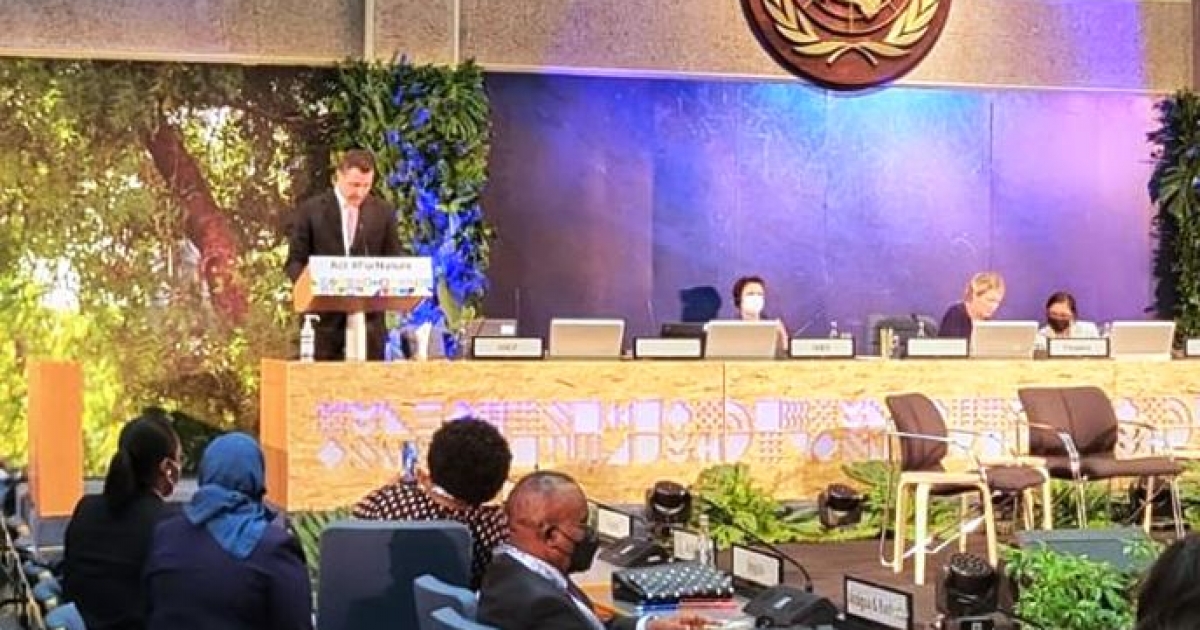 Tánczos Barna az ENSZ Környezetvédelmi Közgyűlésének ülésén: Románia elítéli az orosz agressziót