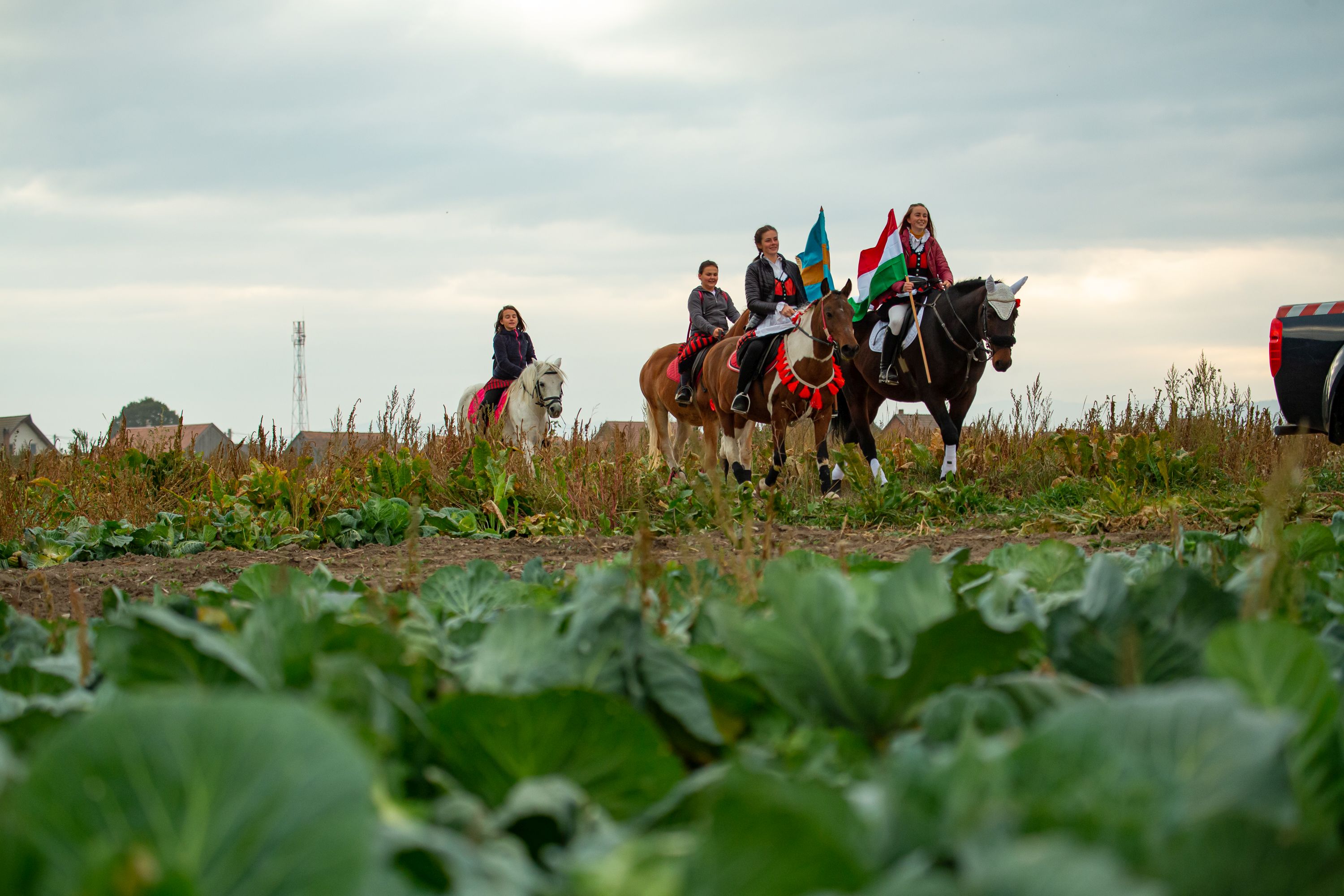 Gyergyószárhegy önkormányzata