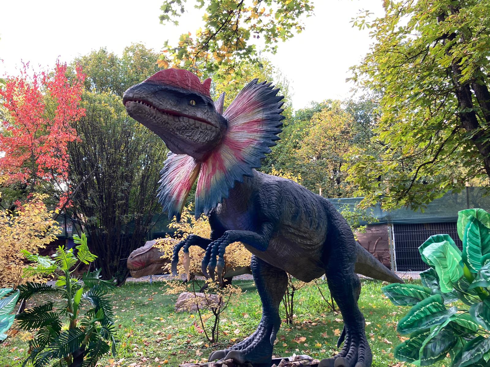 Demeter Adél-Hajnalka