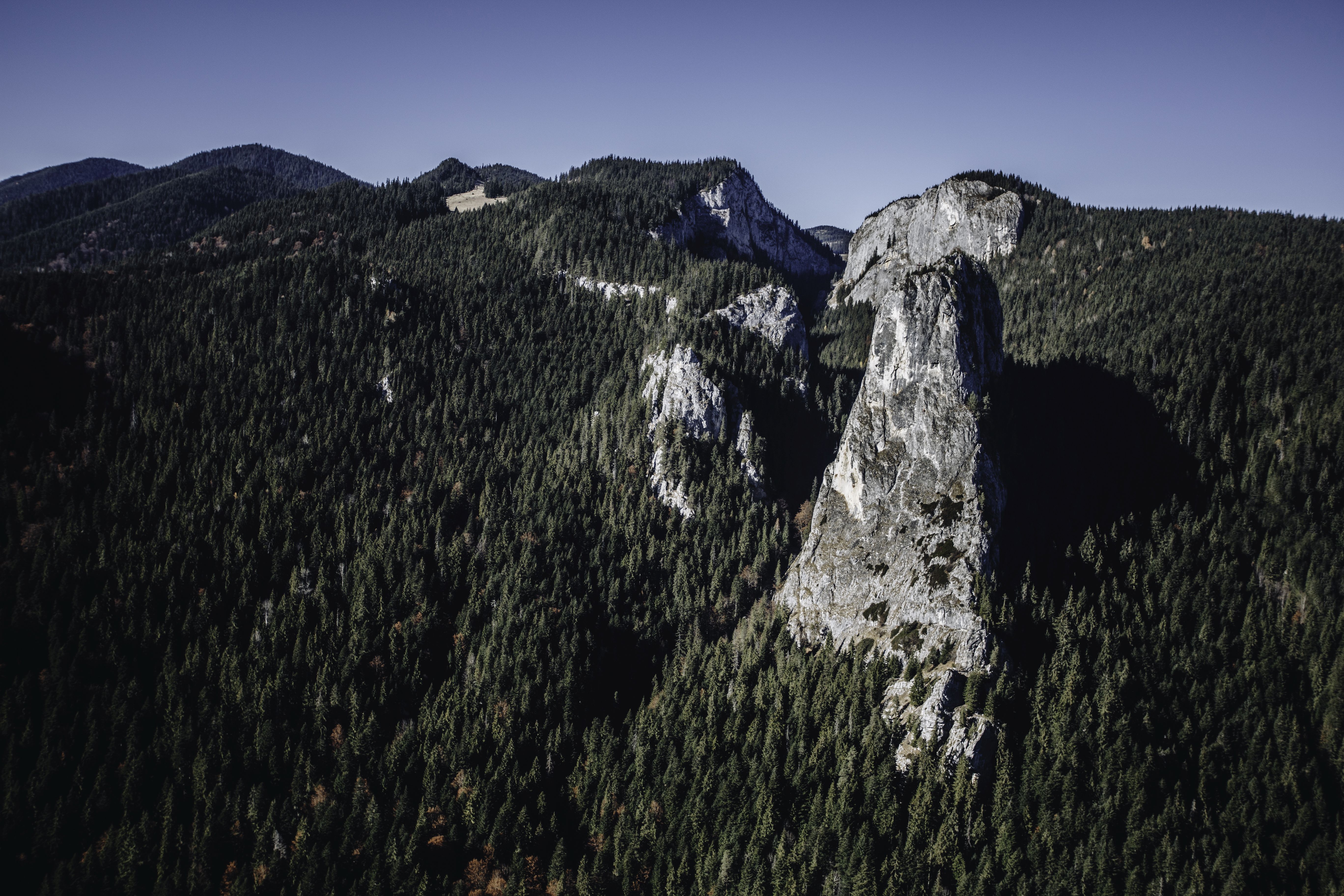 Benedek Helga archívumából