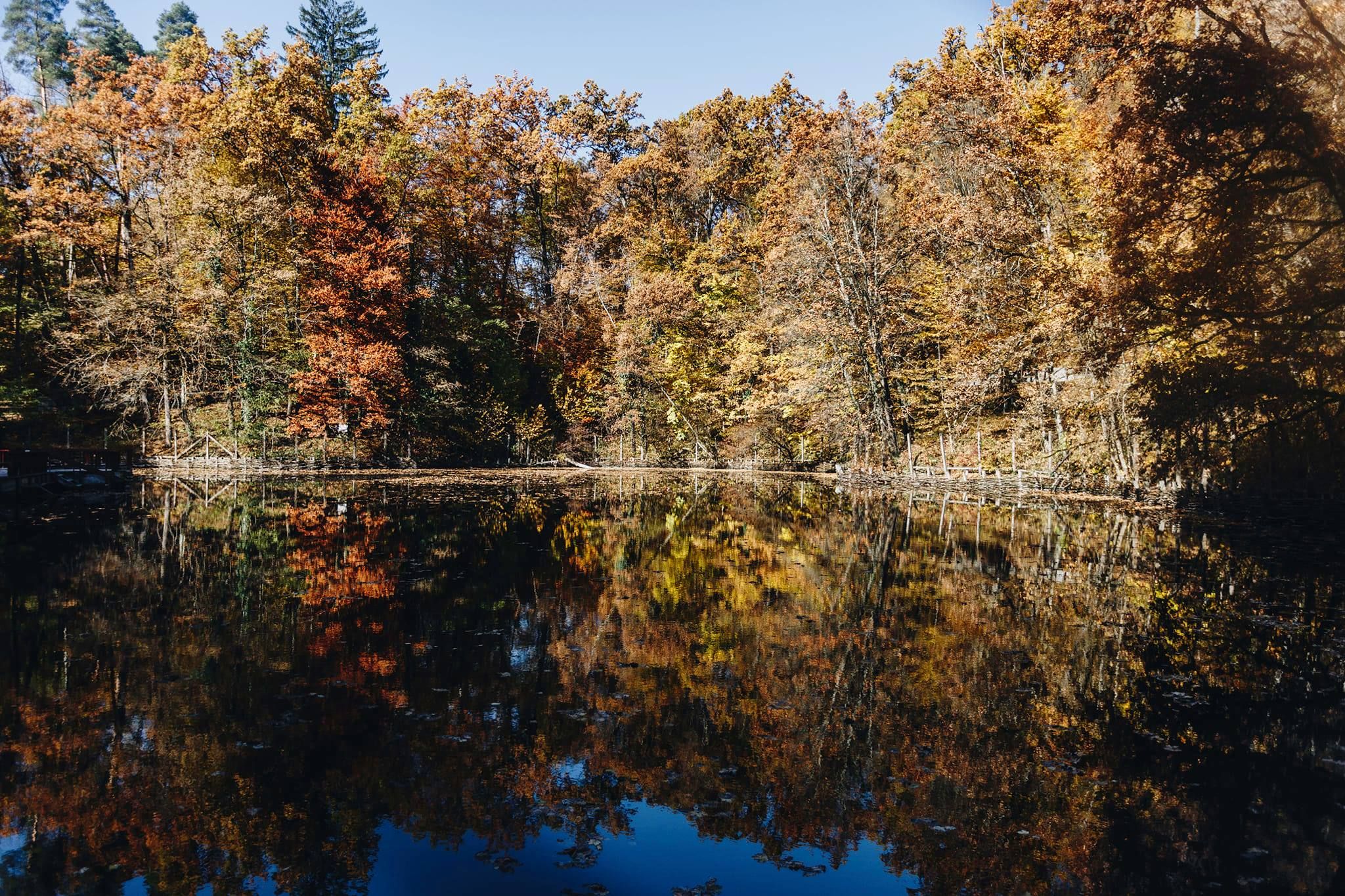 Benedek Helga archívumából