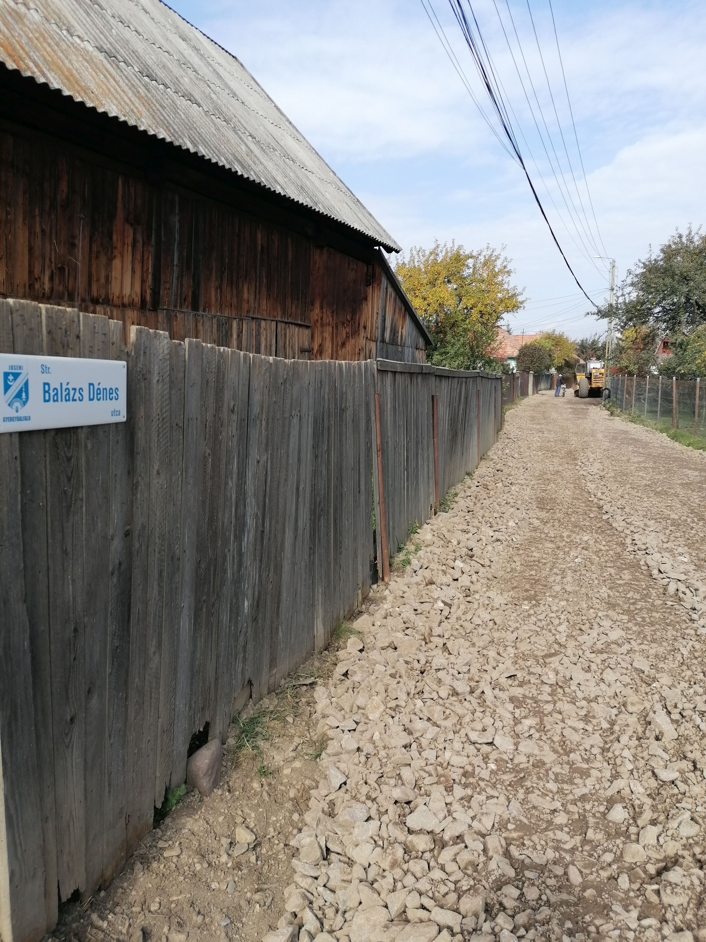 Boncina-Székely Szidónia