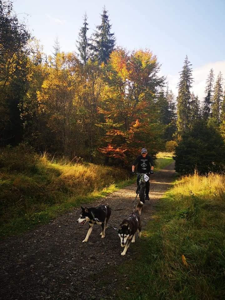 Molnár Sándor Arhcívumából