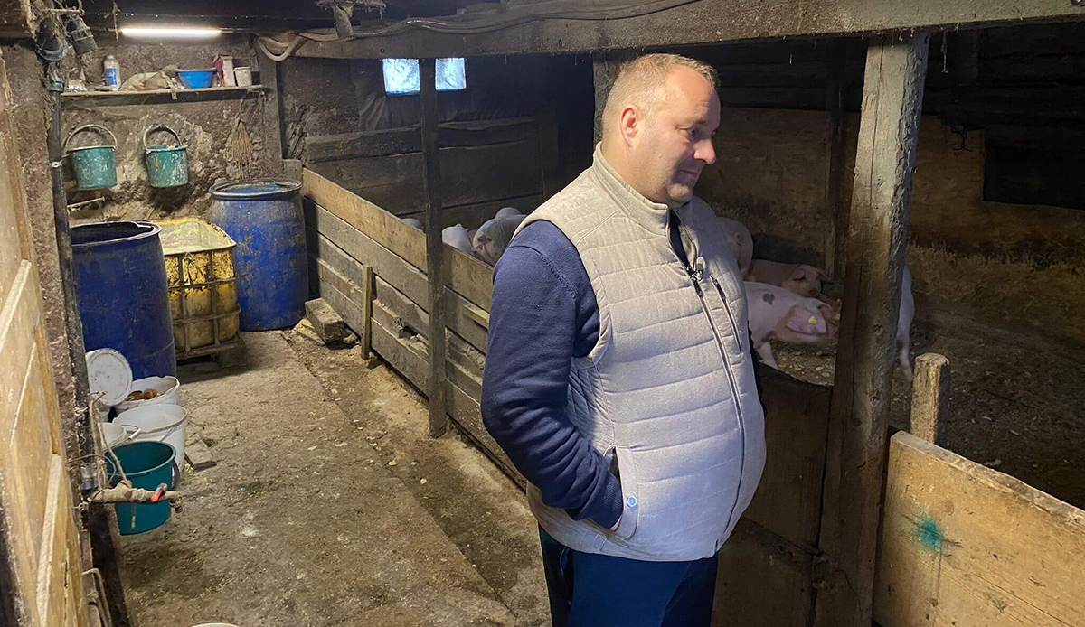 Cilip-Szilágyi Dalma-Orsolya