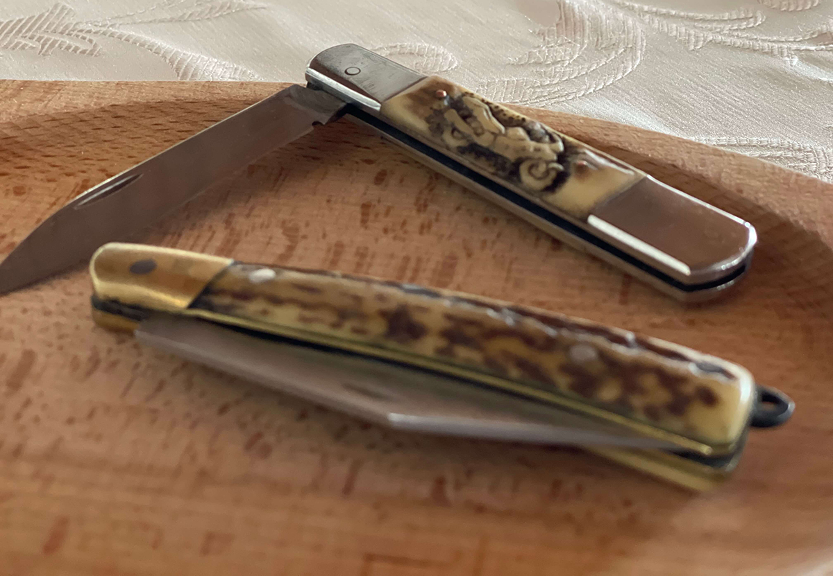 Boncina-Székely Szidónia