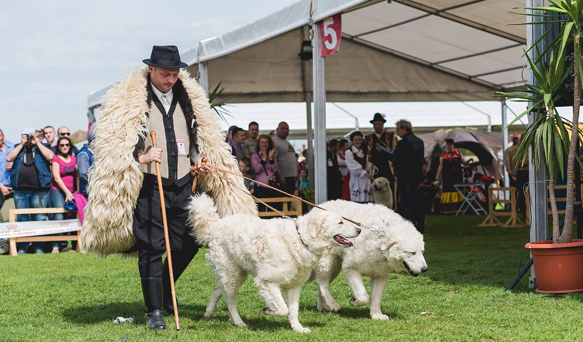 Bölöni Botond archívumából