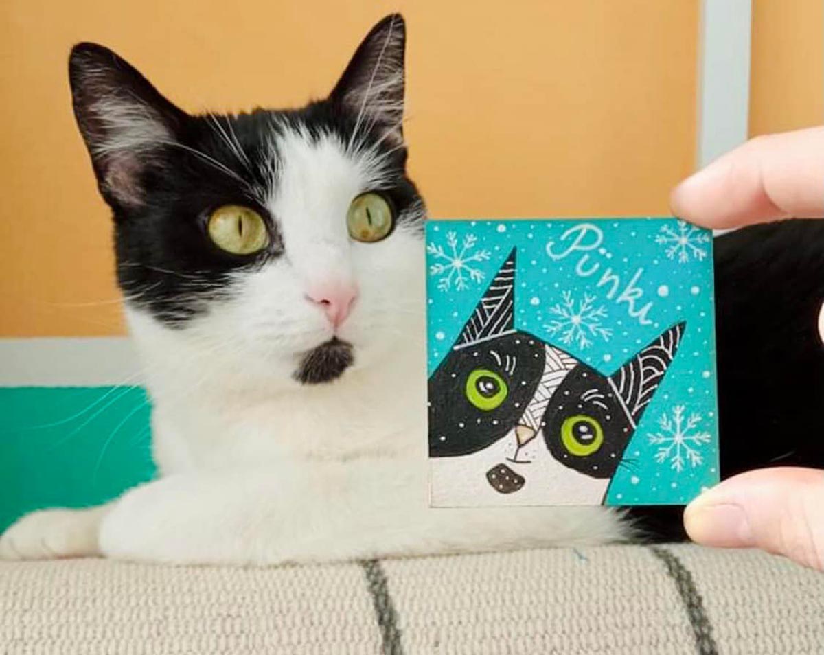 Darvas Emőke archívuma