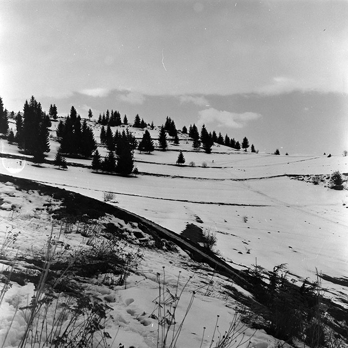 Minerva Fotóarchívum