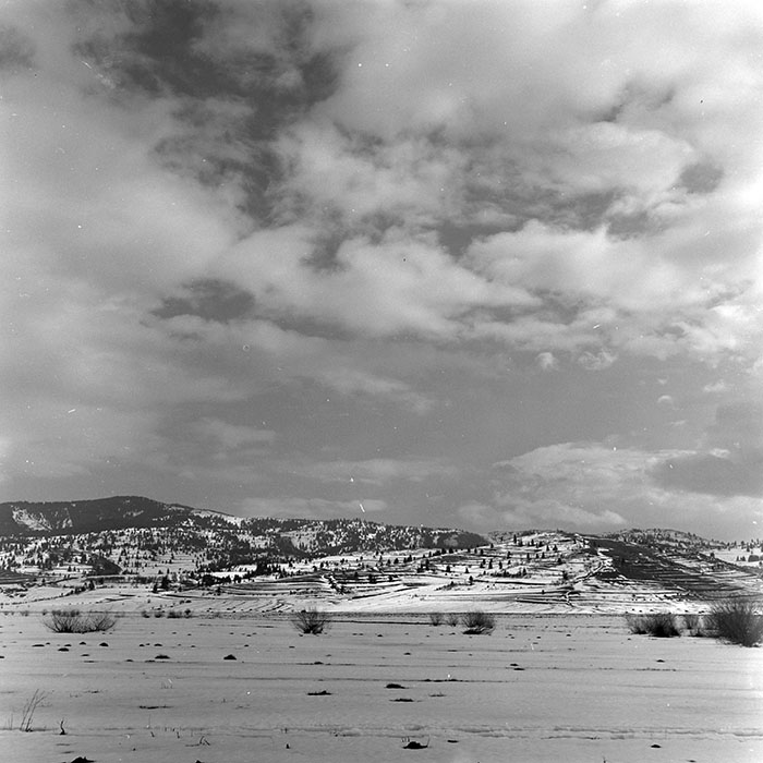 Minerva Fotóarchívum