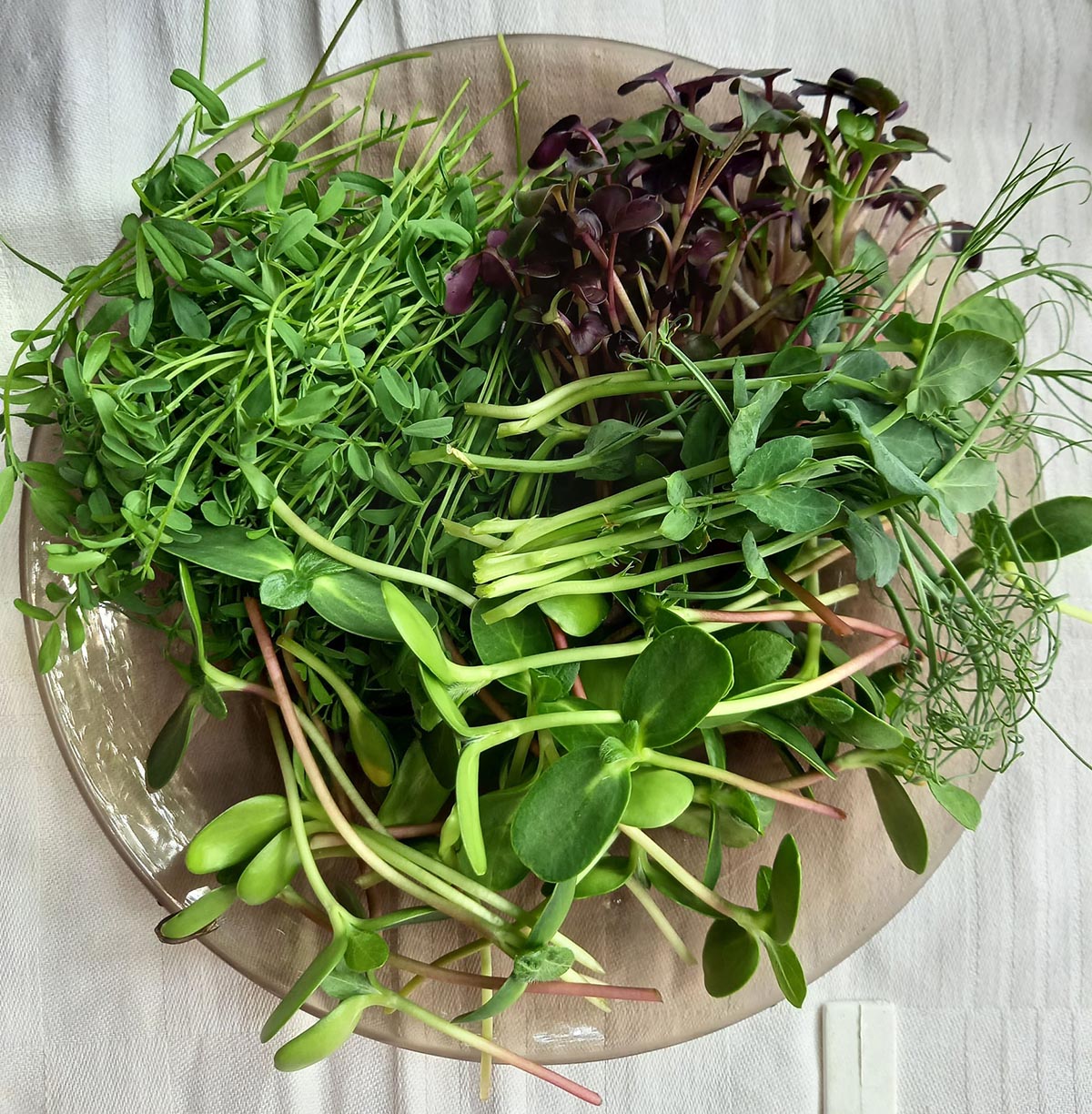 Micro Farm Facebook oldala