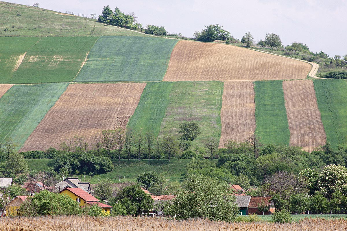Domján Levente/archív