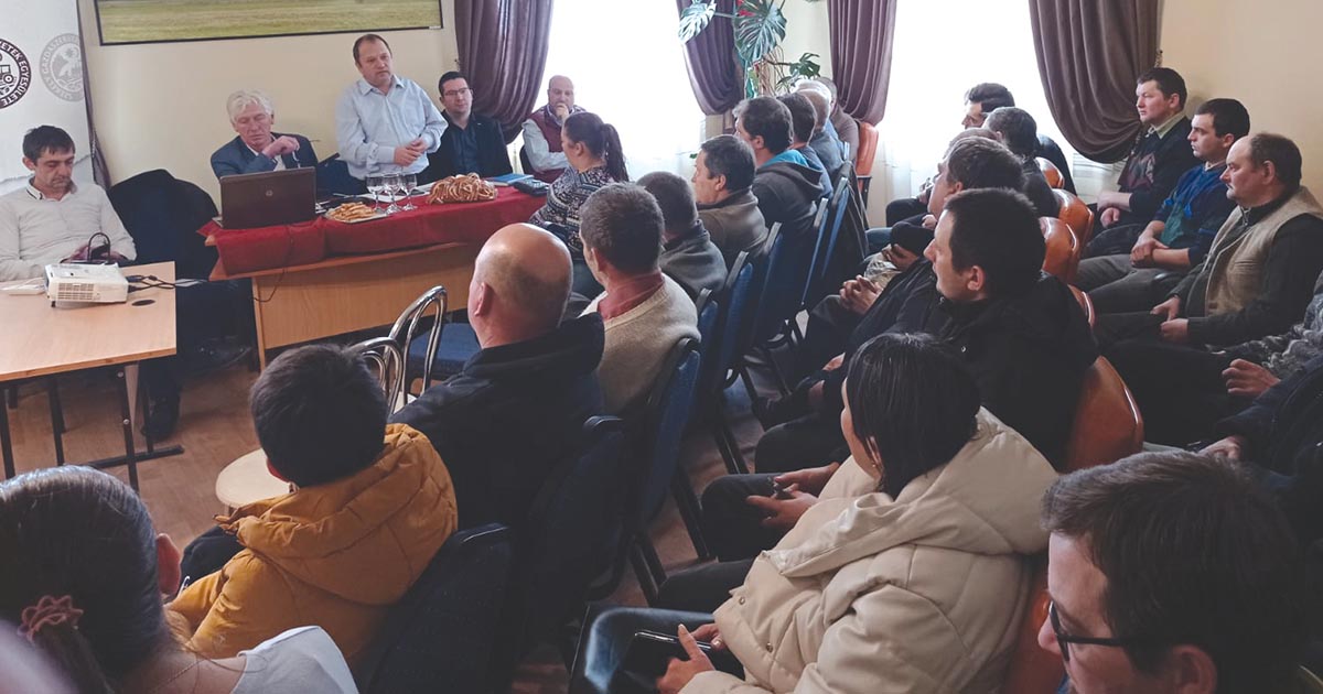 Cilip-Szilágyi Dalma-Orsolya