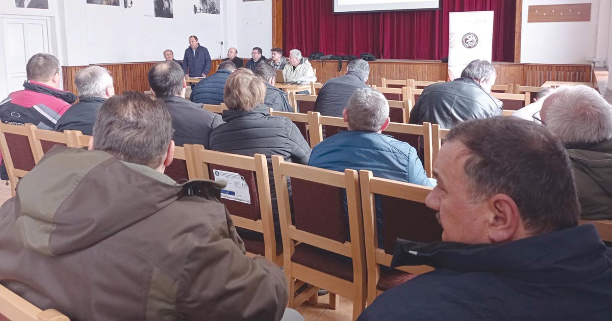 Cilip-Szilágyi Dalma-Orsolya