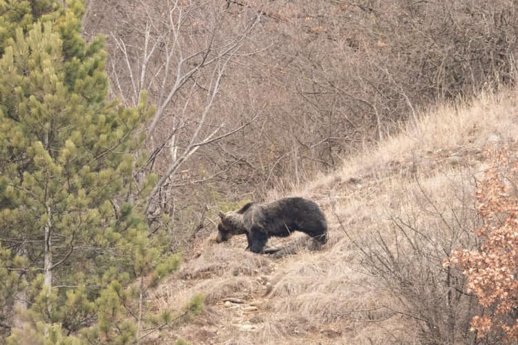 Nagyküküllő Vadász és Sporthorgász Egyesület Facebook oldala