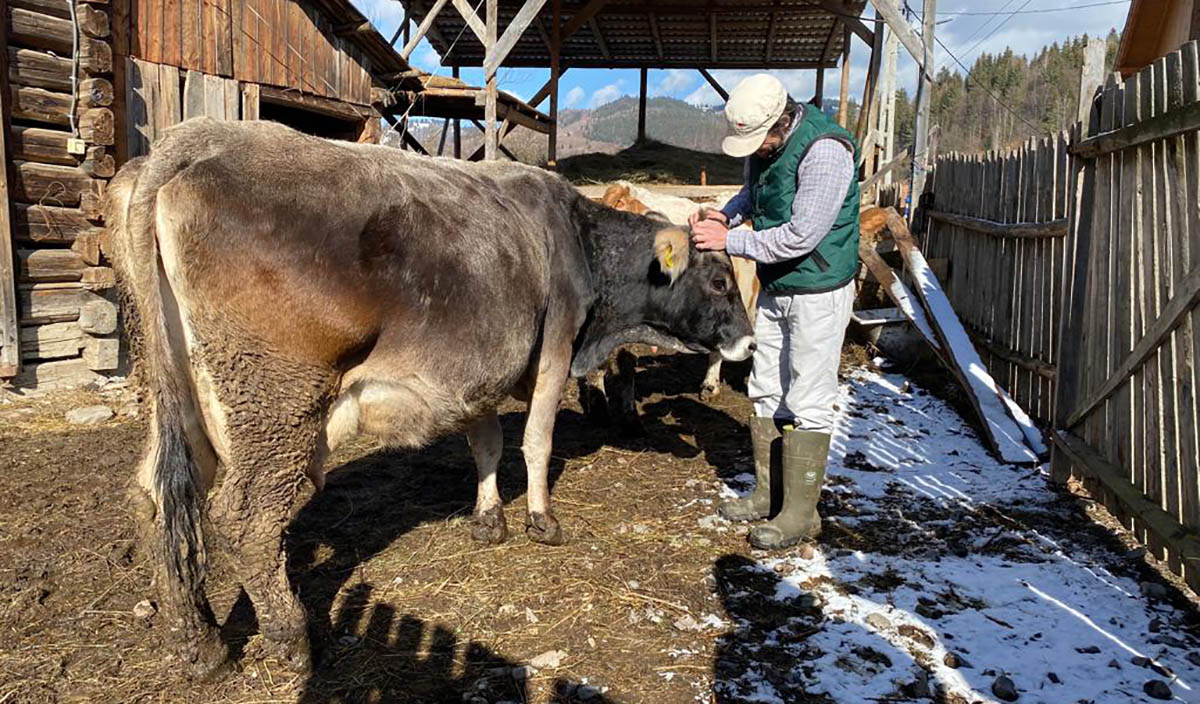 Cilip−Szilágyi Dalma−Orsolya