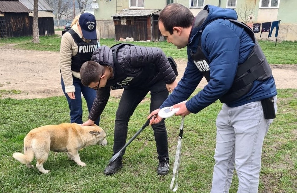 Hargita Megye Rendőr-főkapitányság