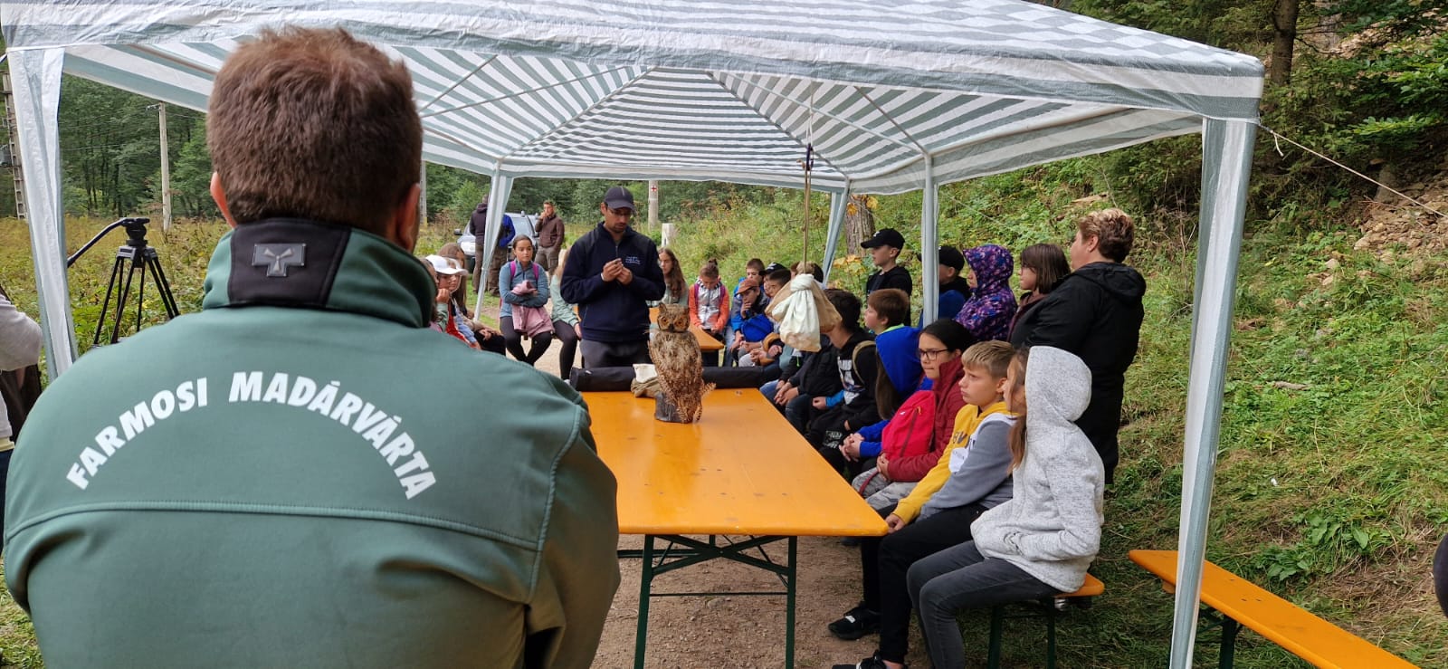 Barabás-Pál Hajnalka