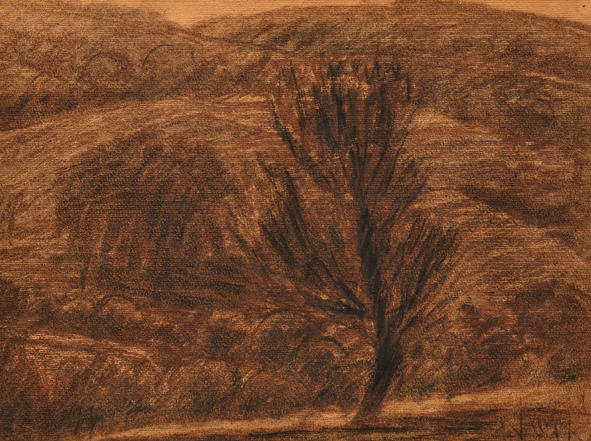 Antal–Lusztig-gyűjtemény