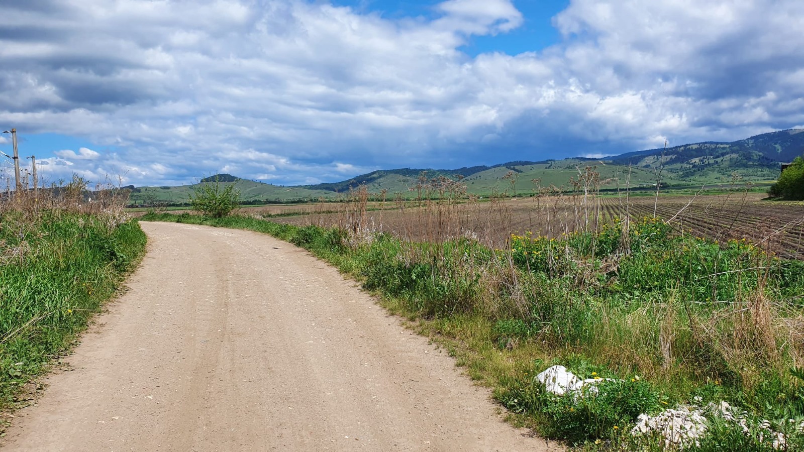 Hargita Megye Tanácsa