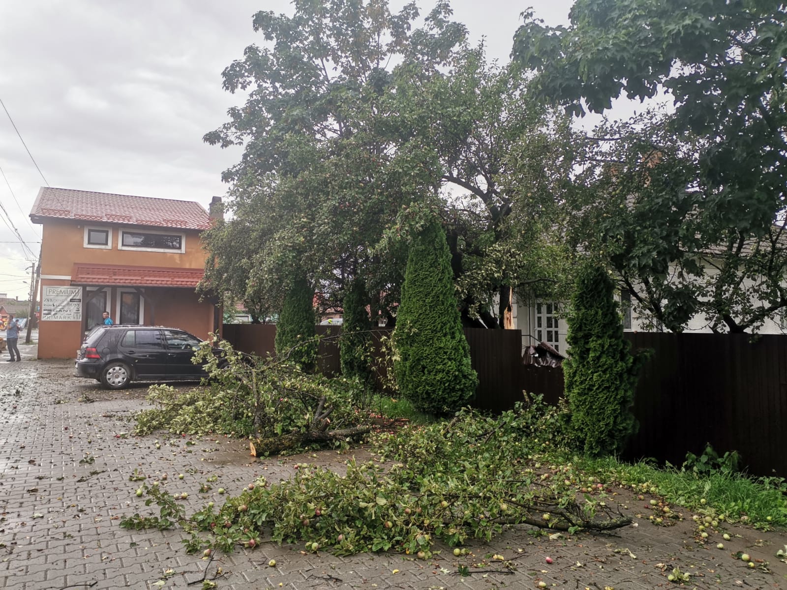 Barabás-Pál Hajnalka