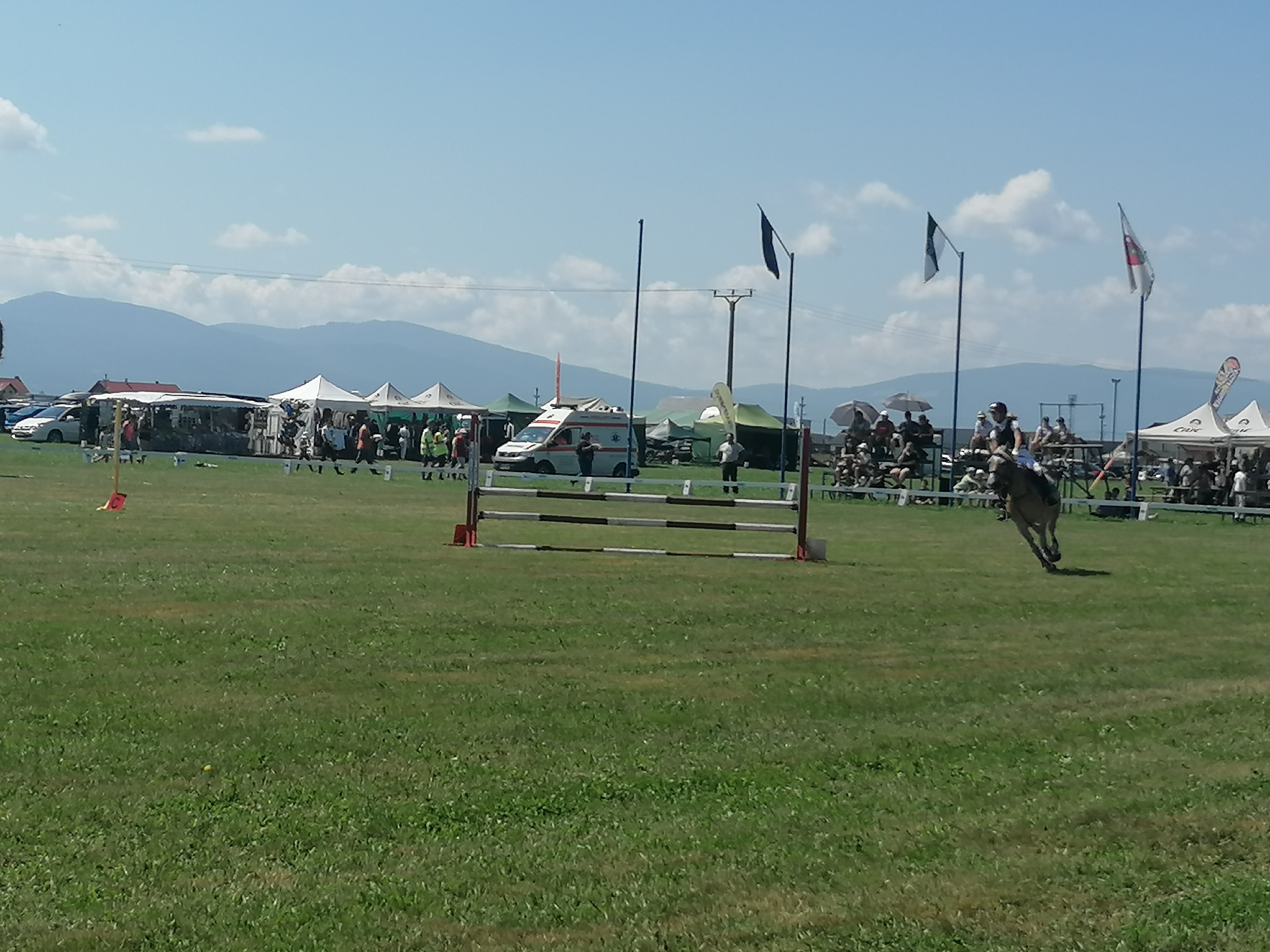 Boncina-Székely Szidónia